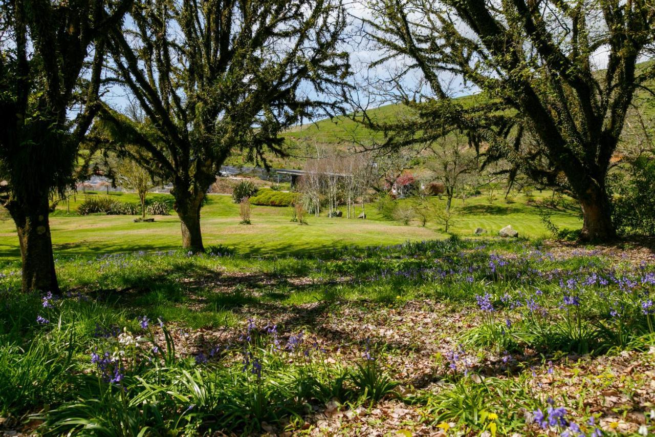 Hare's Rest Villa Taupo Exterior foto